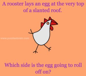rooster-lays-egg-which-side-roll-riddle
