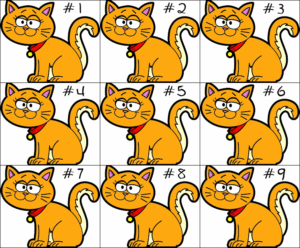 find-identical-cats-puzzle