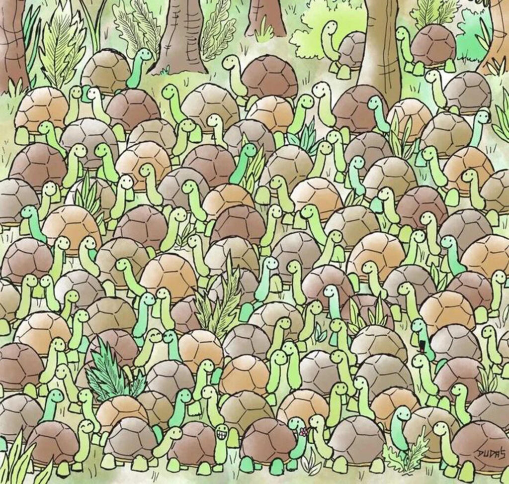 find hidden snake