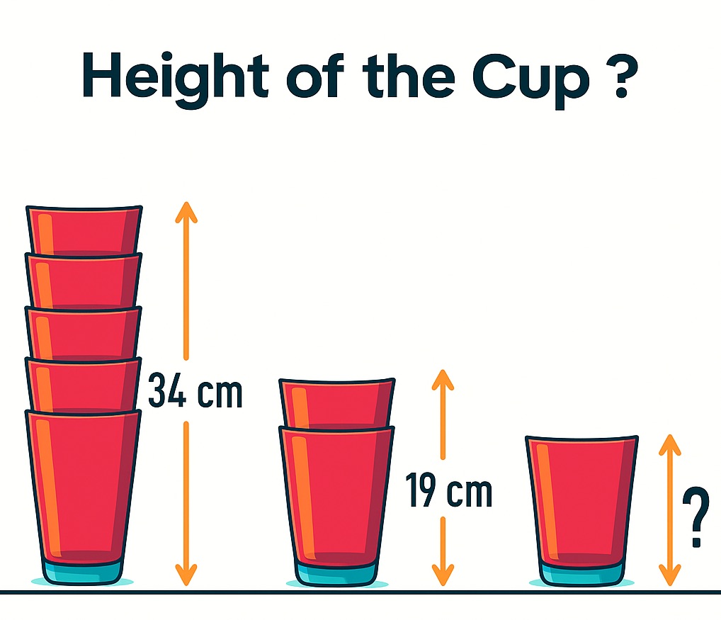 height-of-the-cup-puzzle-solution